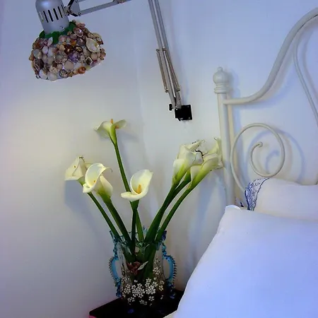 公寓 塞辛布拉之家酒店 *