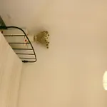 Casa 아파트